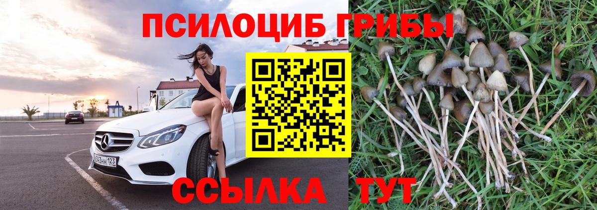 Вышний Волочёк  Галлюциногенные грибы мицелий  купить   Вход с VPN 