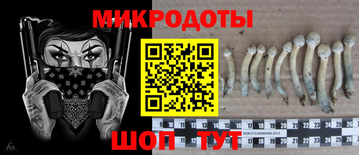Кокаин  Альфа ПВП СОЛЬ   Вышний Волочёк  ЭКСТАЗИ  LSD-25  Каннабис  ГАШ  МЕФ   Вход с VPN 